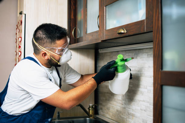 Best Best Pest Control Companies  in Albany, TX