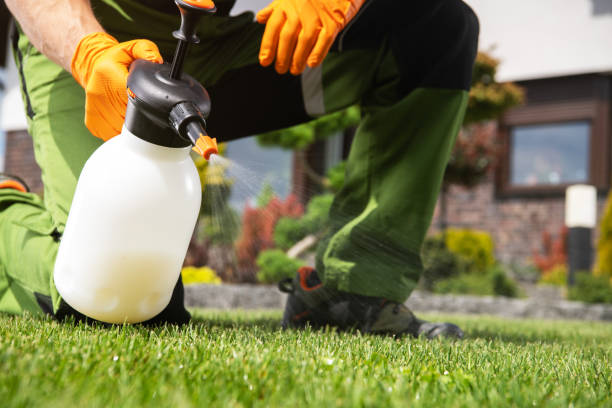 Best Pest Removal Services  in Albany, TX