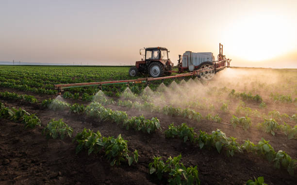 Professional Pest Control in Albany, TX