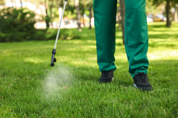 Best Wildlife Control Services  in Albany, TX