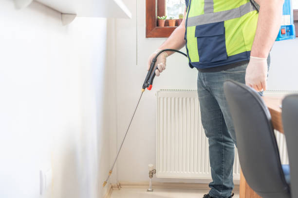 Best Wasp Removal Services  in Albany, TX