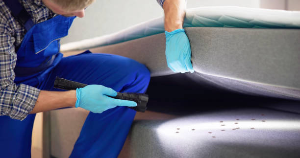 Best Best Pest Control Companies  in Albany, TX