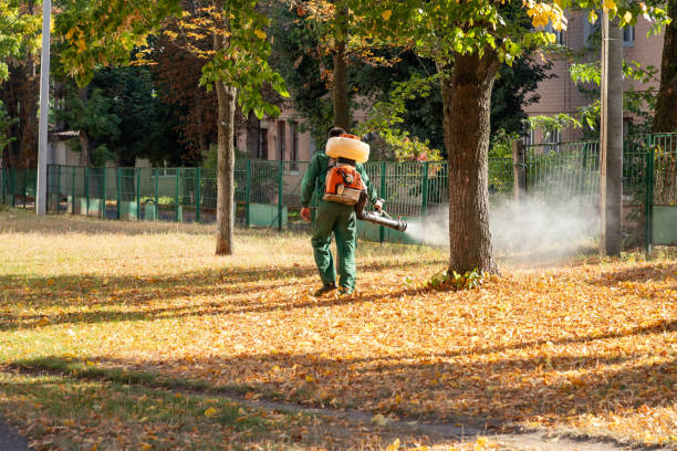 Best Insect Control  in Albany, TX
