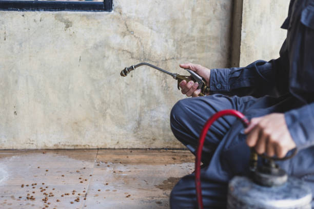 Best Affordable Pest Control Services  in Albany, TX